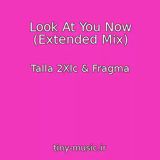 کاور آهنگ Look At You Now (Extended Mix) از Talla 2Xlc & Fragma