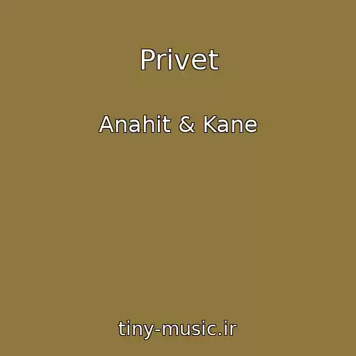 کاور آهنگ Privet از Anahit & Kane