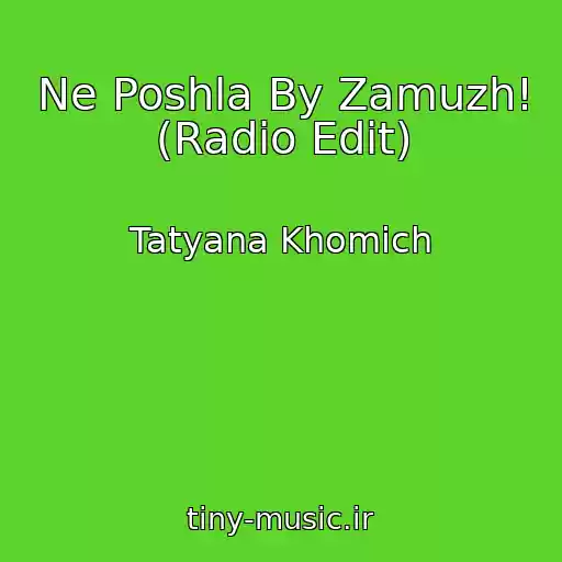 کاور آهنگ Ne Poshla By Zamuzh! (Radio Edit) از Tatyana Khomich