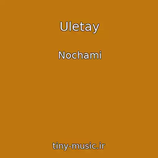 کاور آهنگ Uletay از Nochami