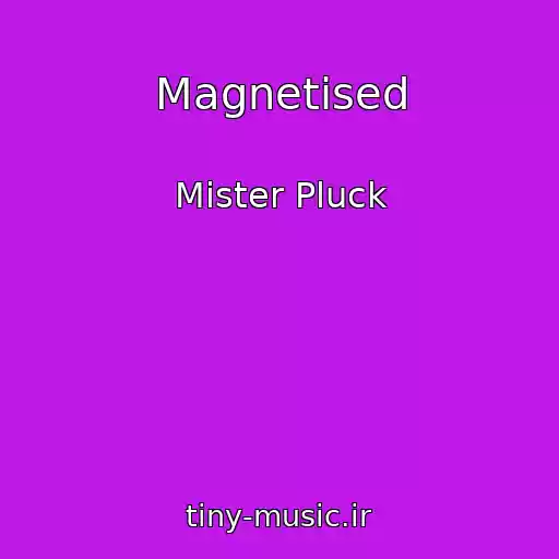 کاور آهنگ Magnetised از Mister Pluck