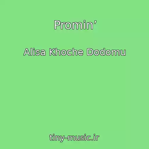 کاور آهنگ Promin’ از Alіsa Khoche Dodomu