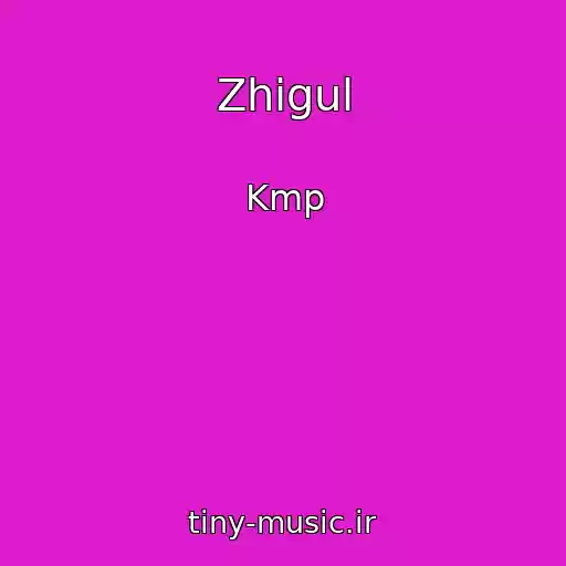 کاور آهنگ Zhigul از Kmp