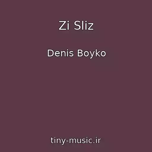کاور آهنگ Zі Slіz از Denis Boyko