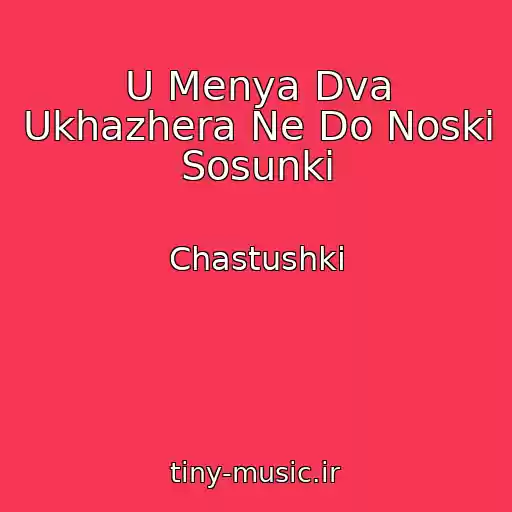کاور آهنگ U Menya Dva Ukhazhera Ne Do Noski Sosunki از Chastushki