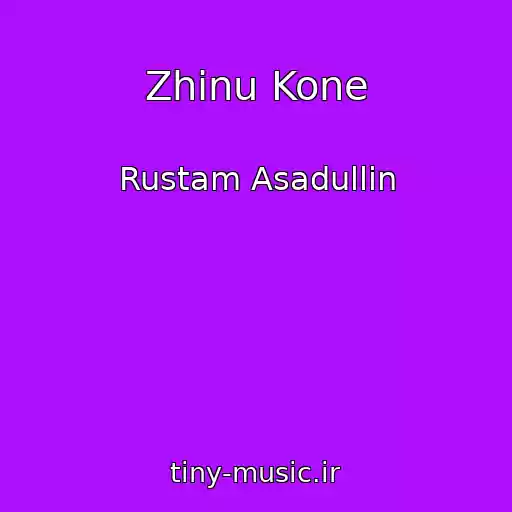 کاور آهنگ Zhinu Kone از Rustam Asadullin