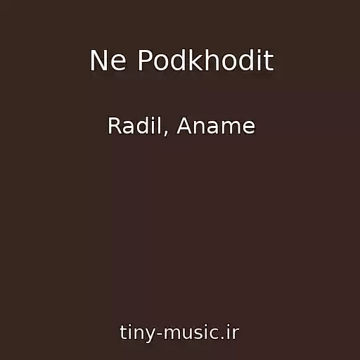 کاور آهنگ Ne Podkhodit از Radil, Aname
