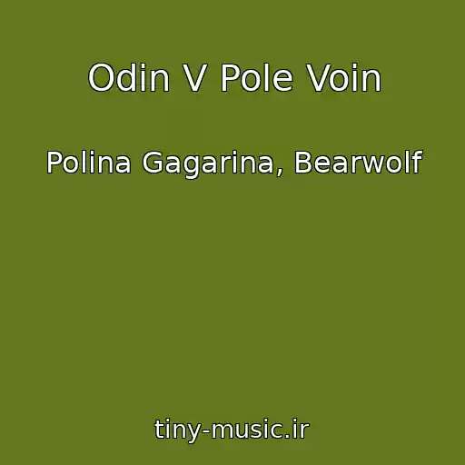 کاور آهنگ Odin V Pole Voin از Polina Gagarina, Bearwolf
