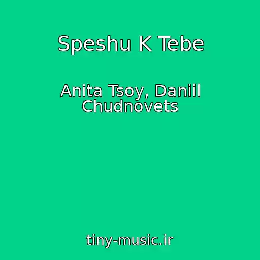 کاور آهنگ Speshu K Tebe از Anita Tsoy, Daniil Chudnovets