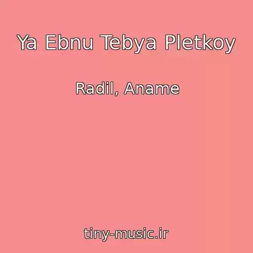 کاور آهنگ Ya Ebnu Tebya Pletkoy از Radil, Aname