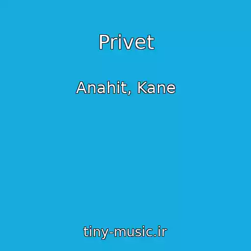 کاور آهنگ Privet از Anahit, Kane