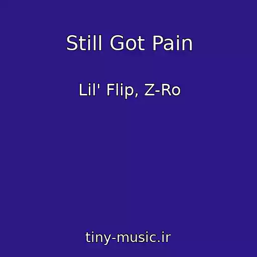 کاور آهنگ Still Got Pain از Lil' Flip, Z-Ro