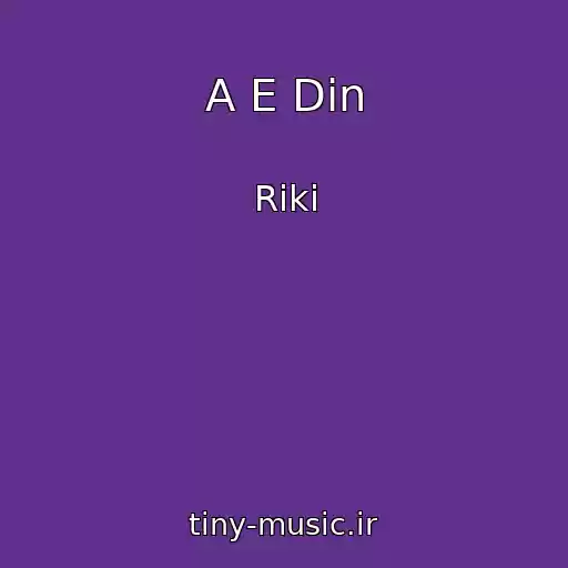 کاور آهنگ A E Din از Riki