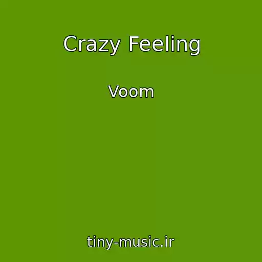 کاور آهنگ Crazy Feeling از Voom