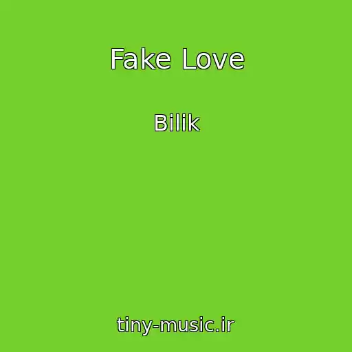کاور آهنگ Fake Love از Bilik