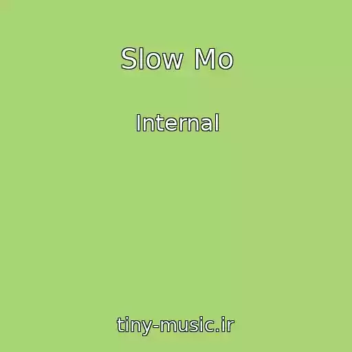 کاور آهنگ Slow Mo از Internal