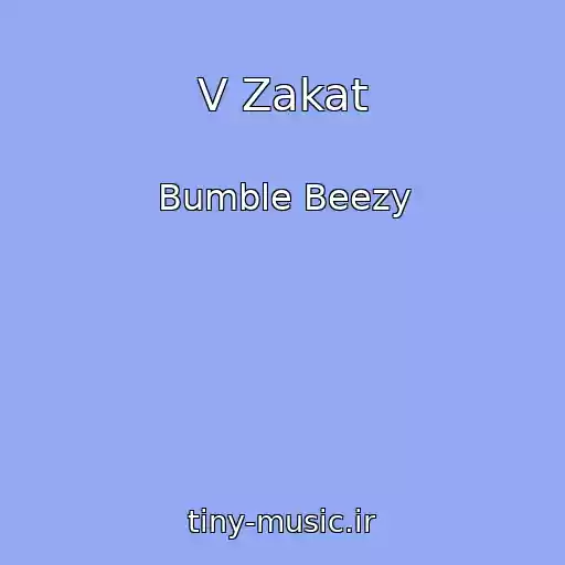 کاور آهنگ V Zakat از Bumble Beezy