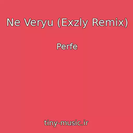 کاور آهنگ Ne Veryu (Exzly Remix) از Perfe