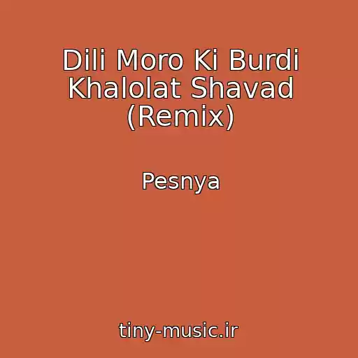 کاور آهنگ Dili Moro Ki Burdi Khalolat Shavad (Remix) از Pesnya
