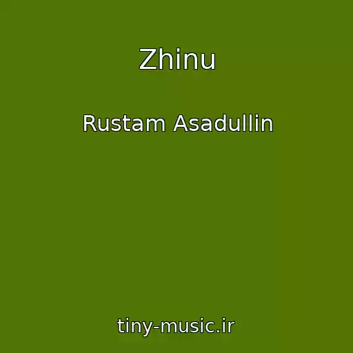 کاور آهنگ Zhinu از Rustam Asadullin