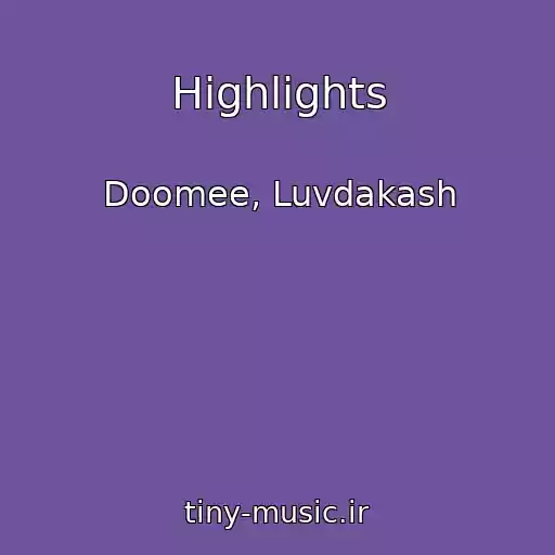 کاور آهنگ Highlights از Doomee, Luvdakash