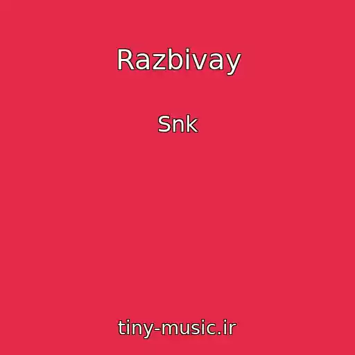 کاور آهنگ Razbivay از Snk