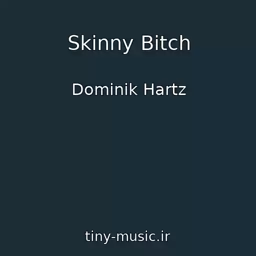 کاور آهنگ Skinny Bitch از Dominik Hartz