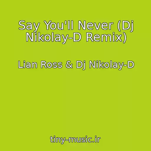 کاور آهنگ Say You'll Never (Dj Nikolay-D Remix) از Lian Ross & Dj Nikolay-D