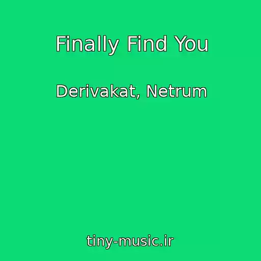کاور آهنگ Finally Find You از Derivakat, Netrum