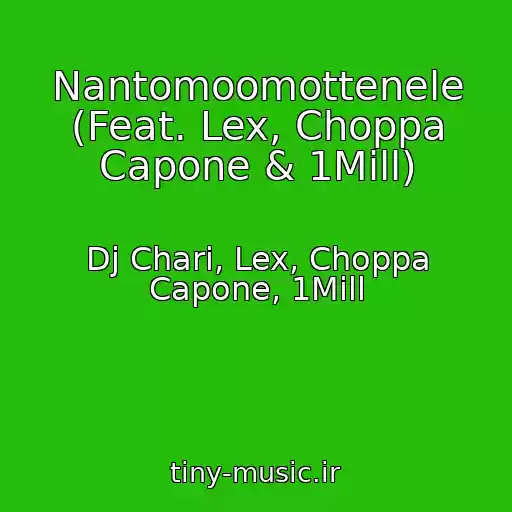 کاور آهنگ Nantomoomottenele (Feat. Lex, Choppa Capone & 1Mill) از Dj Chari, Lex, Choppa Capone, 1Mill