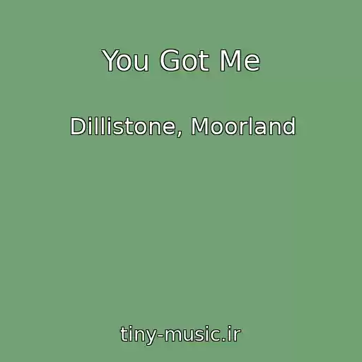 کاور آهنگ You Got Me از Dillistone, Moorland