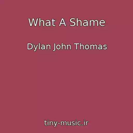 کاور آهنگ What A Shame از Dylan John Thomas