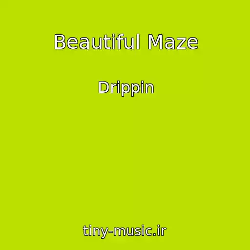 کاور آهنگ Beautiful Maze از Drippin