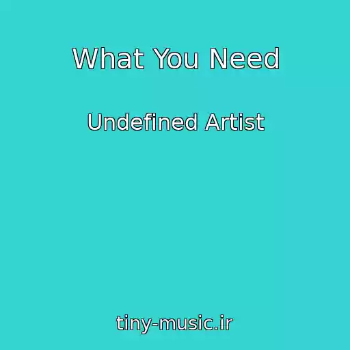 کاور آهنگ What You Need از Undefined Artist