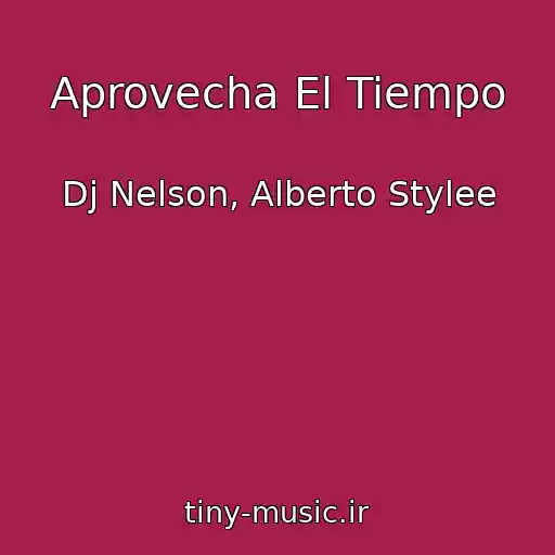 کاور آهنگ Aprovecha El Tiempo از Dj Nelson, Alberto Stylee