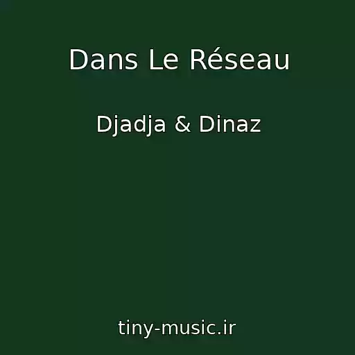 کاور آهنگ Dans Le Réseau از Djadja & Dinaz