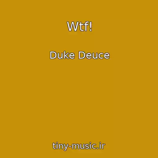 کاور آهنگ Wtf! از Duke Deuce