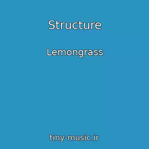 کاور آهنگ Structure از Lemongrass
