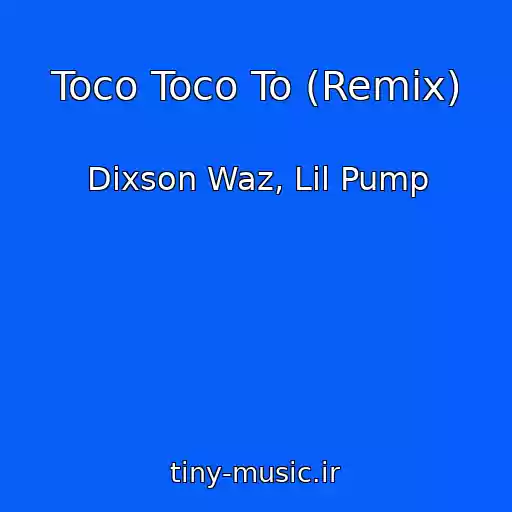کاور آهنگ Toco Toco To (Remix) از Dixson Waz, Lil Pump