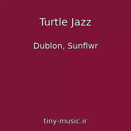 کاور آهنگ Turtle Jazz از Dublon, Sunflwr