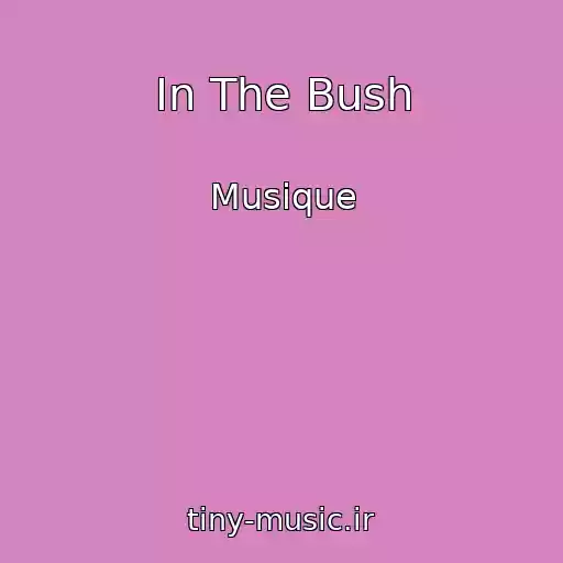 کاور آهنگ In The Bush از Musique
