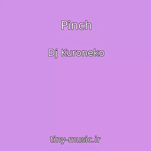 کاور آهنگ Pinch از Dj Kuroneko