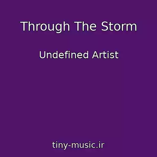 کاور آهنگ Through The Storm از Undefined Artist