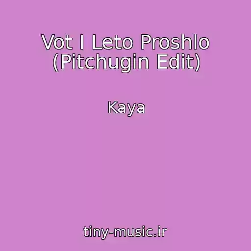 کاور آهنگ Vot I Leto Proshlo (Pitchugin Edit) از Kaya
