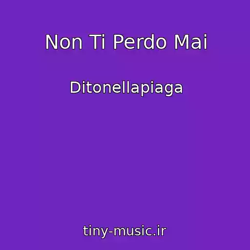 کاور آهنگ Non Ti Perdo Mai از Ditonellapiaga