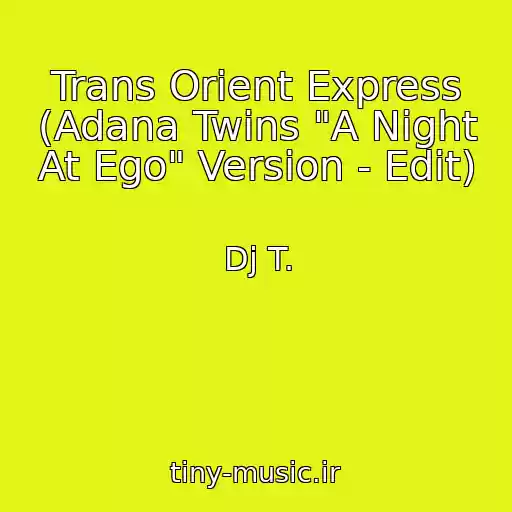 کاور آهنگ Trans Orient Express (Adana Twins "A Night At Ego" Version - Edit) از Dj T.