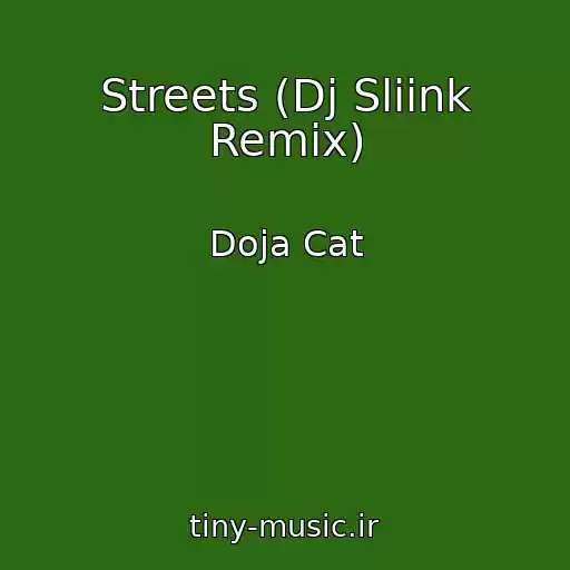 کاور آهنگ Streets (Dj Sliink Remix) از Doja Cat
