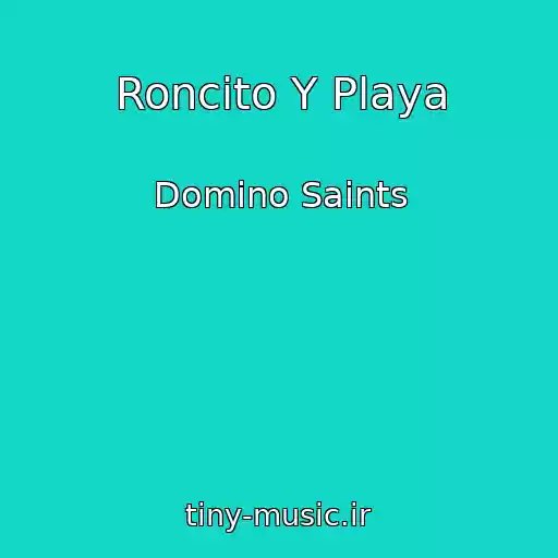 کاور آهنگ Roncito Y Playa از Domino Saints