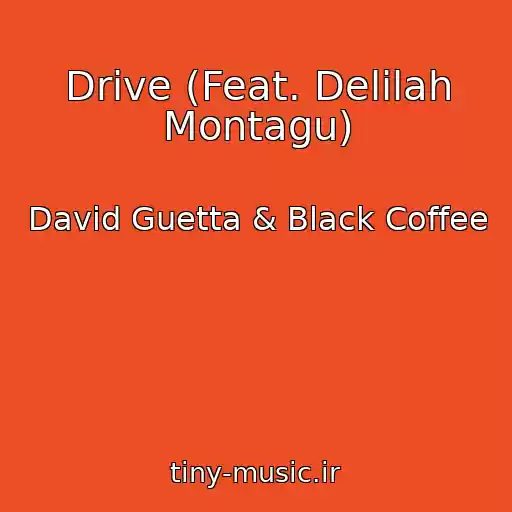 کاور آهنگ Drive (Feat. Delilah Montagu) از David Guetta & Black Coffee