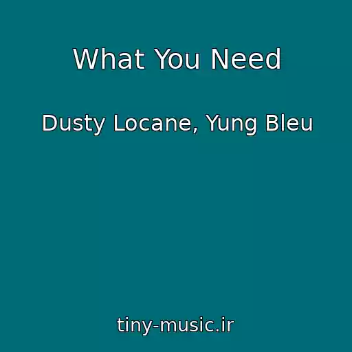 کاور آهنگ What You Need از Dusty Locane, Yung Bleu